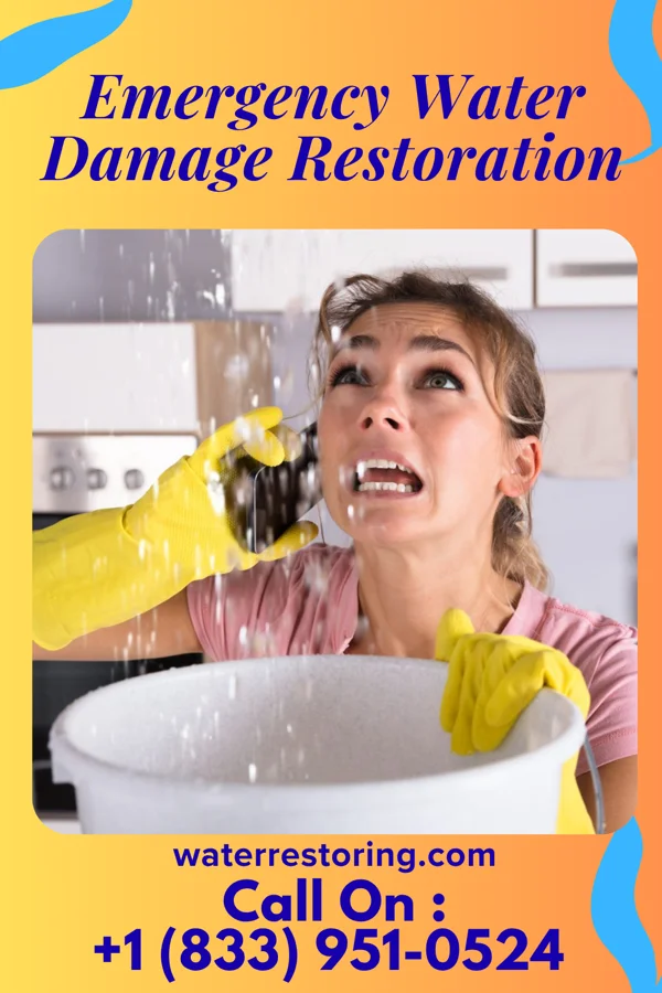 Emergency Water Damage Restoration in Blanco, TX